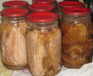 Canning Chicken - after being pressure canned