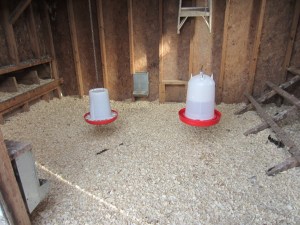 Main Coop after fresh bedding!
