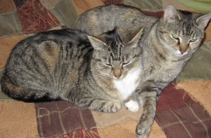 Boots & Karen - 03/2014